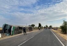 В Угорщині розбився автобус з українцями: 17 дітей постраждали